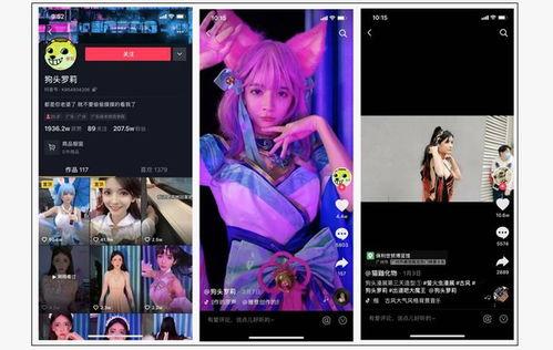 网红衣服爆料视频下载免费